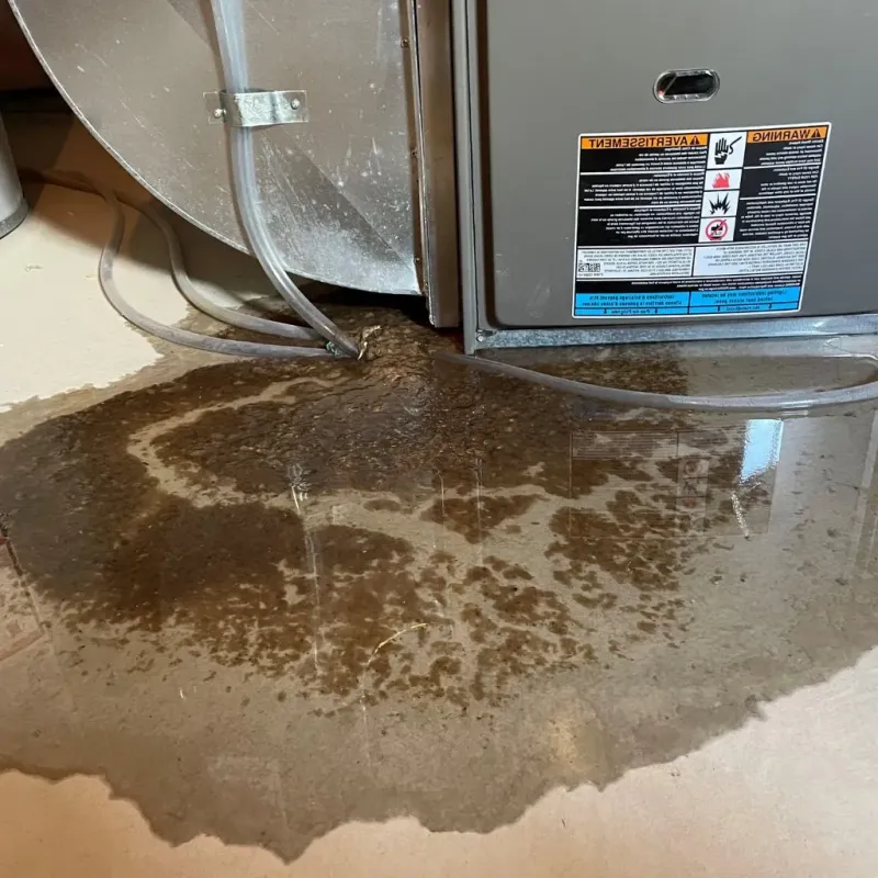 Pipe Burst and Leak Restoration in Mill Creek East, WA